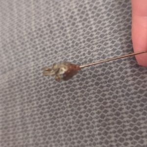 Silver strawberry stick pin